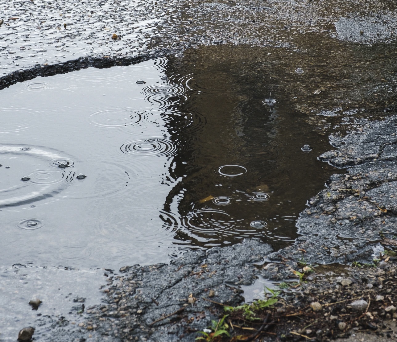 NEWS | AA data shows that Herefordshire Council repaired almost 100,000 potholes in recent three year period