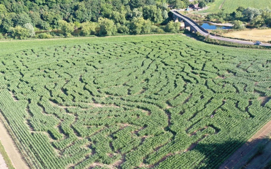 WHAT’S ON? | An exciting new Mini Maze will open tomorrow near Ross-on-Wye bringing fun for all the family  