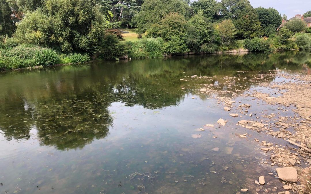 NEWS | A new commission will work with partners to consider ways to address water quality in the River Wye and River Lugg in Herefordshire