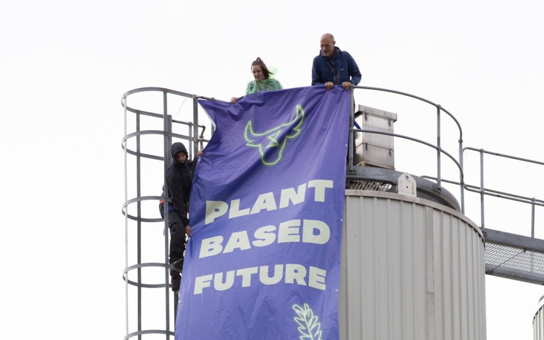 NEWS | 13 people arrested after protesters demanding a ’plant-based’ future targeted a Muller Dairy site in Worcestershire
