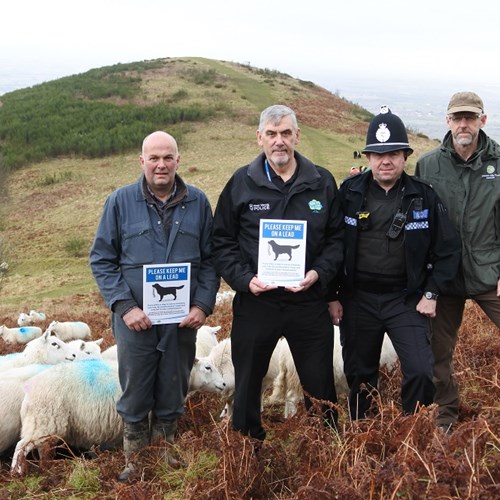 NEWS | Charity calls for people to keep their dogs on leads near livestock after a sheep was killed by a dog on the Malvern Hills