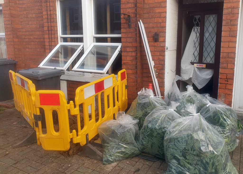 NEWS | Police Discover Cannabis Plants Worth An Estimated £220,000 At A ...