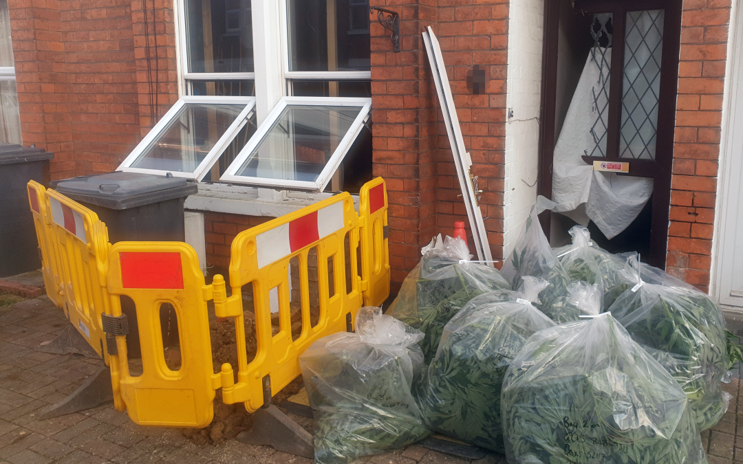 NEWS | Police discover Cannabis plants worth an estimated £220,000 at a property in Gloucester