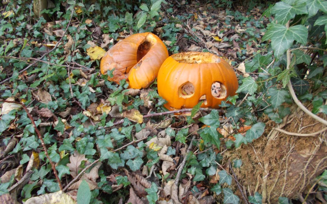 NEWS | Pumpkin dumping a scary threat to wildlife this Halloween, warns the Woodland Trust
