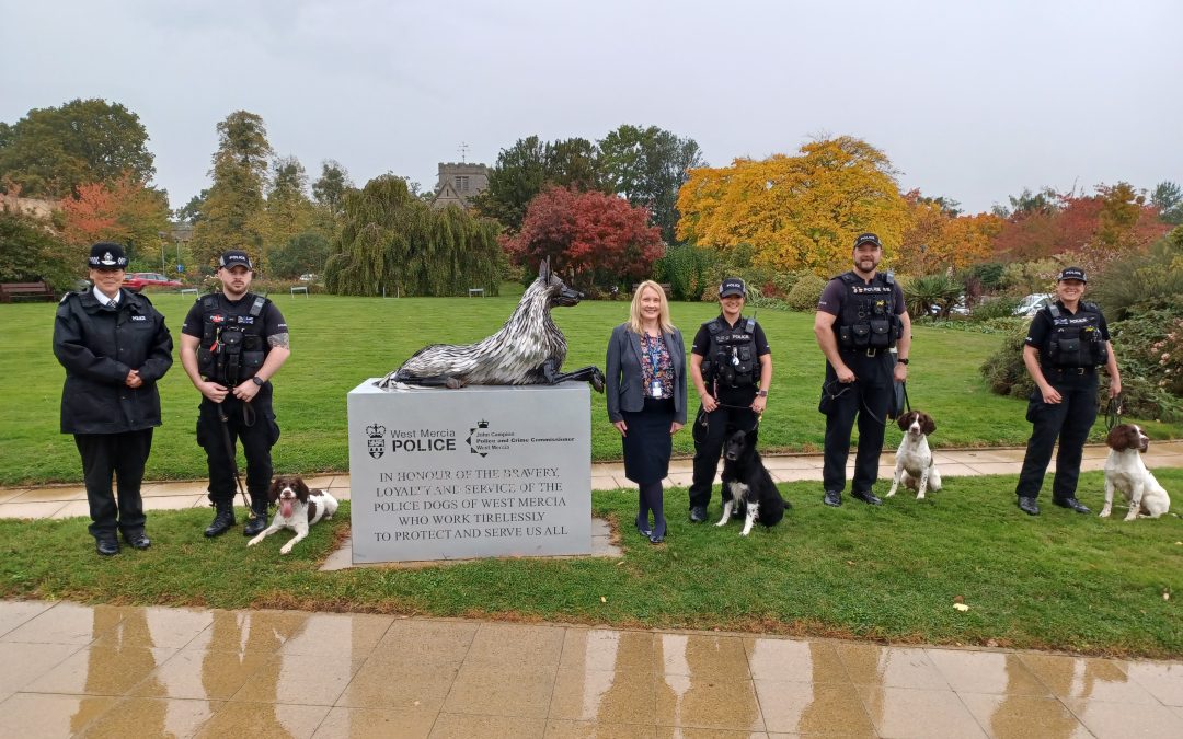 NEWS | Three police dogs who were named by local schoolchildren in a competition have graduated from training school and are now ready for duty