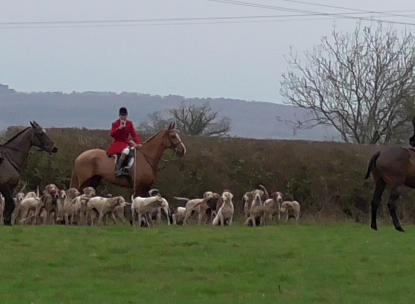 NEWS | A man has been fined more than £1,000 for leading an illegal fox hunt near Hartpury in Gloucestershire