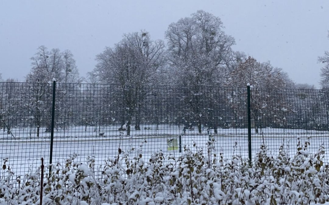 NEWS |  Herefordshire schools announce closure following heavy snowfall in parts of the county