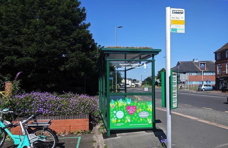 NEWS | More Sedum Bus Shelters coming to Hereford as part of £400,000 ‘Greening the City’ project 