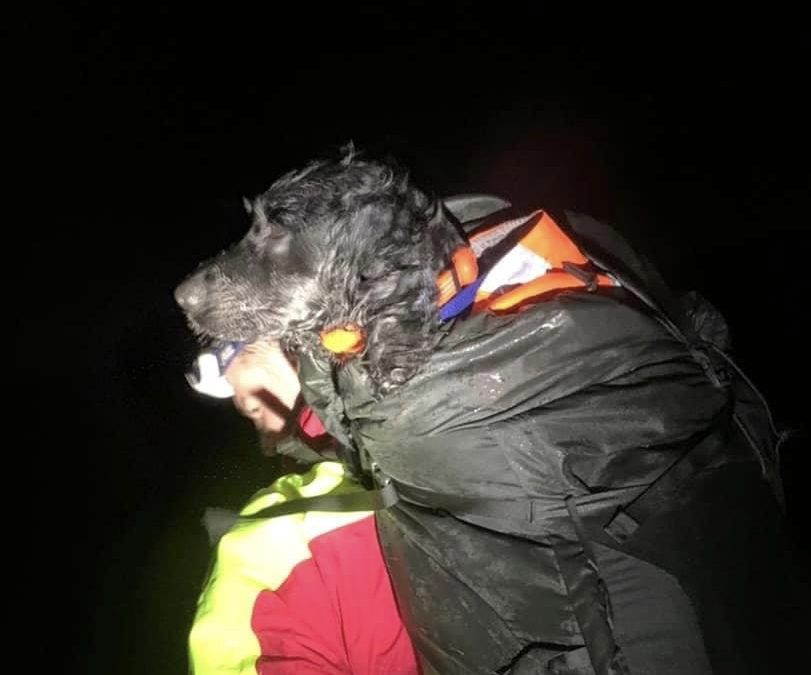NEWS | Mountain Rescue team rescues three people and a dog from a mountain in the Brecon Beacons 