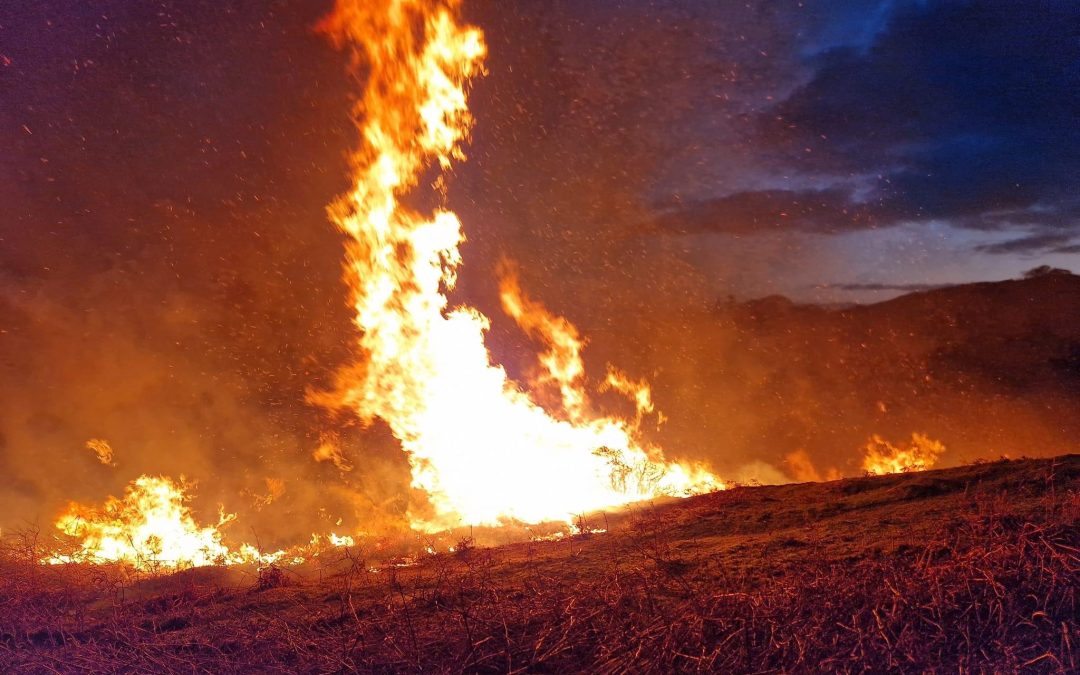 NEWS | Fire crews from several stations called to respond to a large blaze on a hillside 