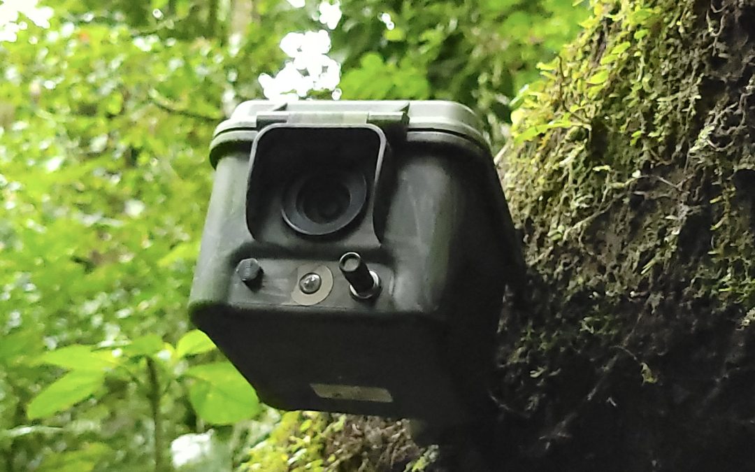 NEWS | Local Herefordshire family business sends their new camera trap to the four corners of the globe