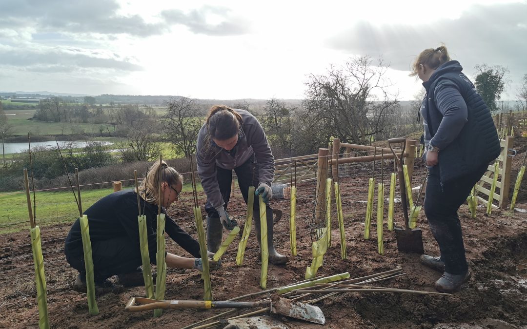 NEWS | New Nature Reserve taking shape in the Lugg Valley to feature on Countryfile this Sunday