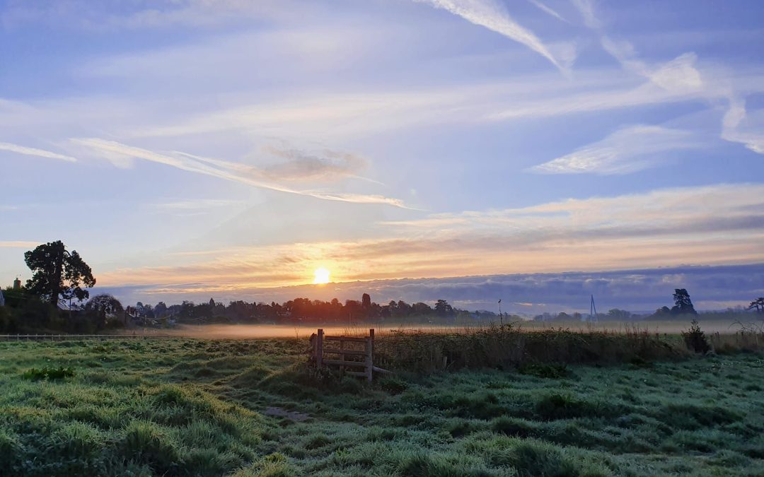 REVEALED | Bartonsham Meadows on the edge of Hereford are to become a stunning 100-acre nature reserve for the public to enjoy, managed by Herefordshire Wildlife Trust