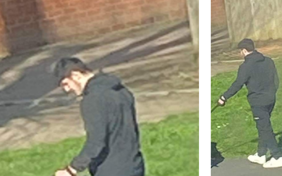 NEWS | West Mercia Police launch appeal after a boy was bitten by a dog in Hereford 