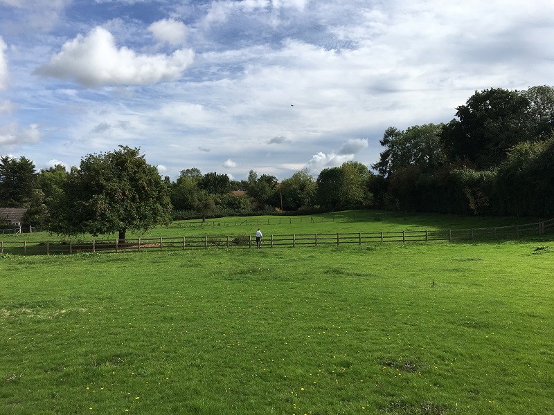 NEWS | In a world-first, the council is in the process of creating a number of Integrated Wetlands specifically for the purpose of removing phosphates before they reach our rivers