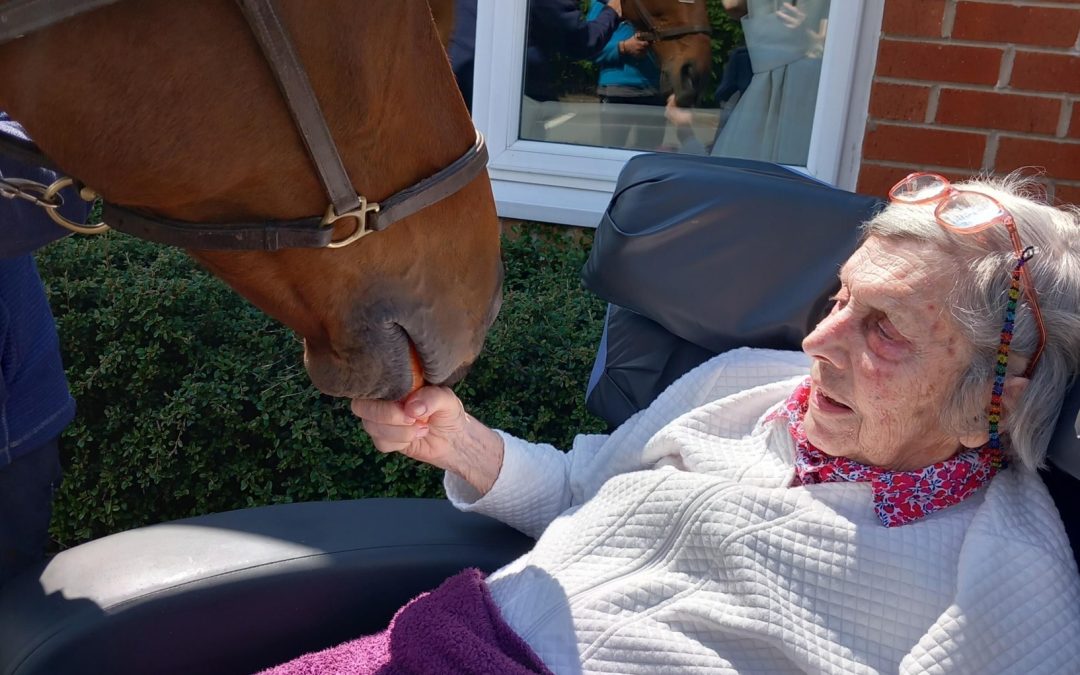 NEWS | Resident Reunites with Beloved Horse at Kington Court Nursing Home