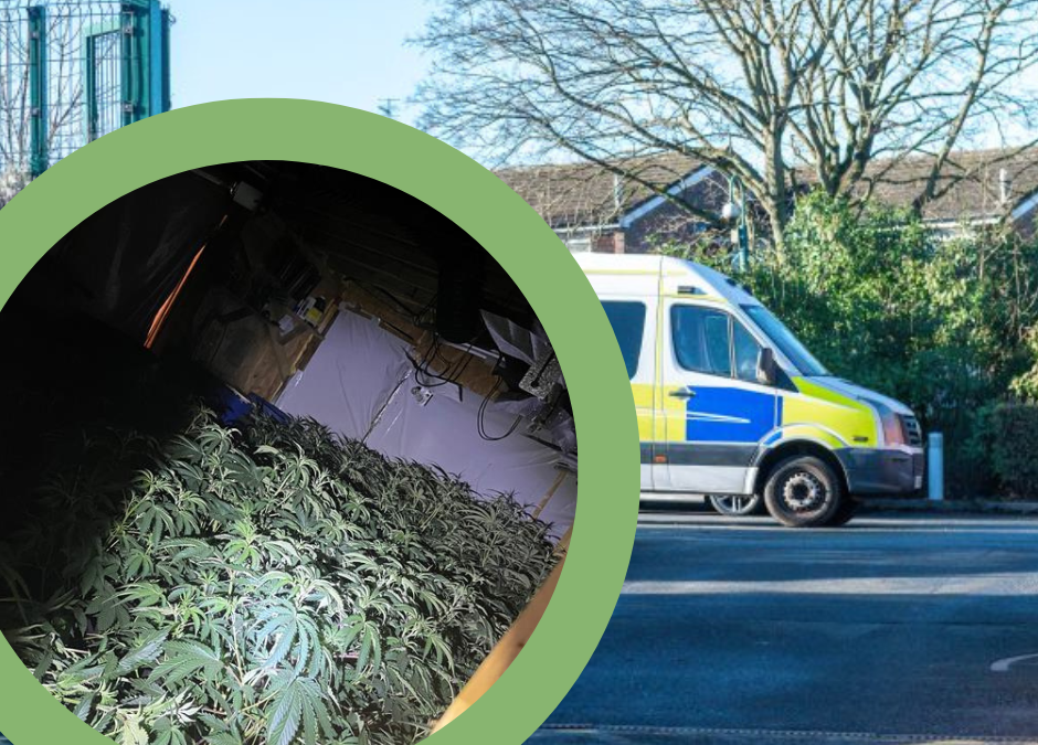 NEWS | Two women arrested for Cultivation of Cannabis, Abstracting Electricity and Possession of a Class A substance following a raid in Herefordshire 