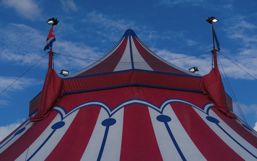 NEWS | Herefordshire Council gives permission for circus company to host a FREE circus for disadvantaged children on Bishops Meadows later this month