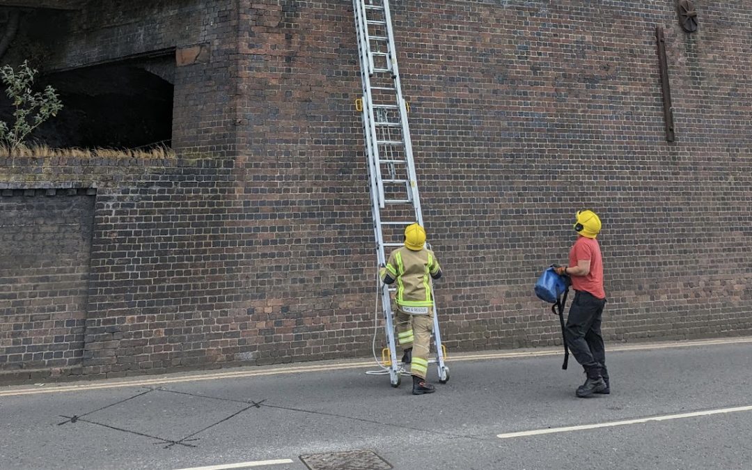 NEWS | The RSPCA teamed up with Hereford & Worcester Fire and Rescue Service to help rescue a gull last week