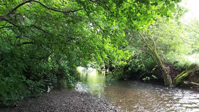 NEWS | Herefordshire Wildlife Trust have received £60,000 from the Environment Agency to support the recovery of river health in the upper River Lugg catchment between Aymestrey and Presteigne