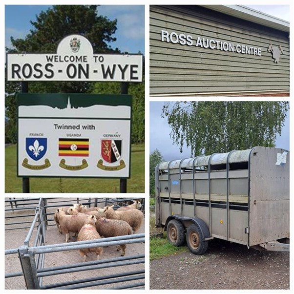 NEWS | Trailer theft has halved in Herefordshire following successful covert operations carried out by officers in Hereford’s Rural and Business Crime team