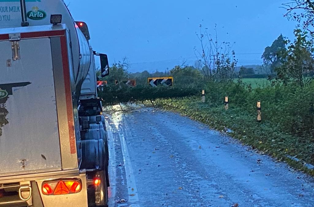 NEWS | A fallen tree blocking a major route in Herefordshire this morning 