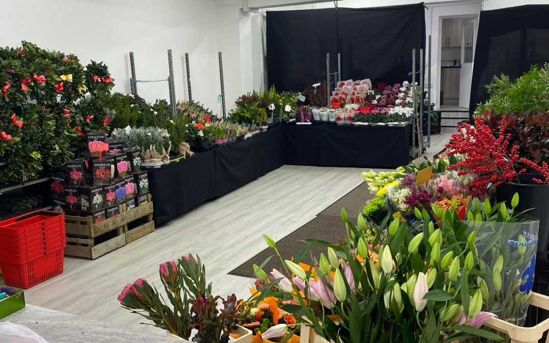 FEATURED | A new flower shop will be opening its doors in Hereford city centre this morning 