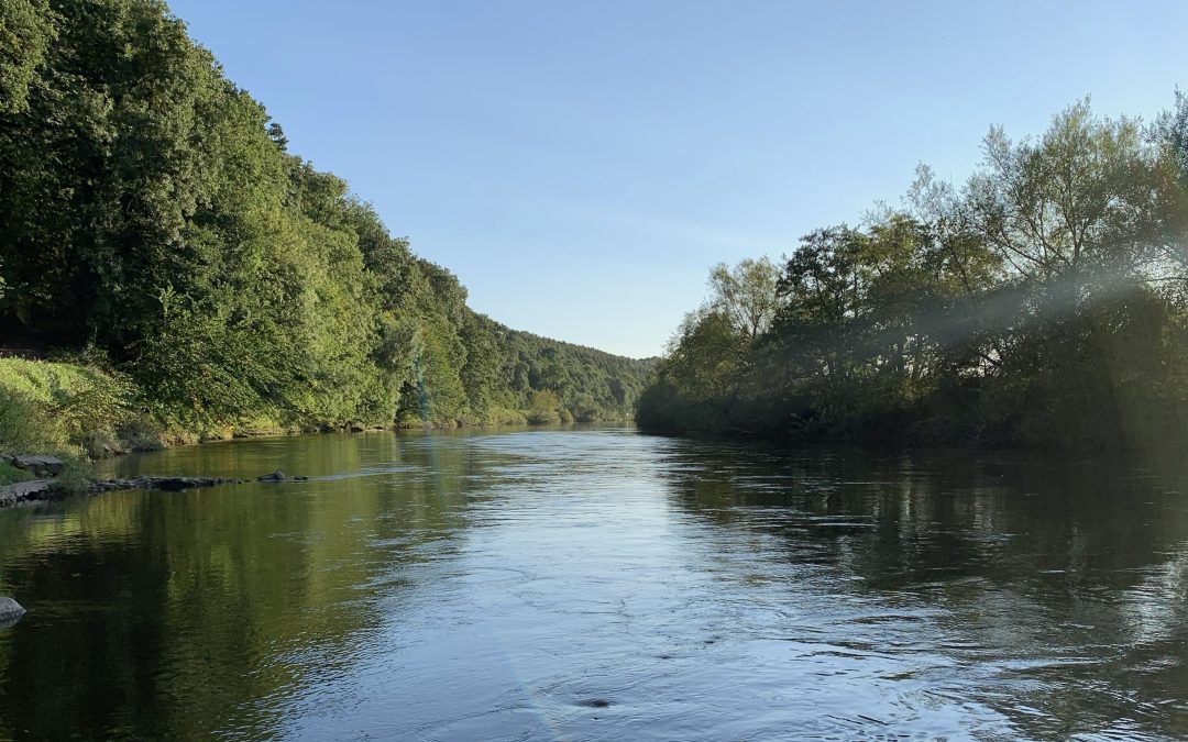 FEATURED | Partnership project in Herefordshire to restore the River Wye and surrounding landscape for wildlife and for people chosen as one of 34 projects to benefit from government’s £25 million of funding