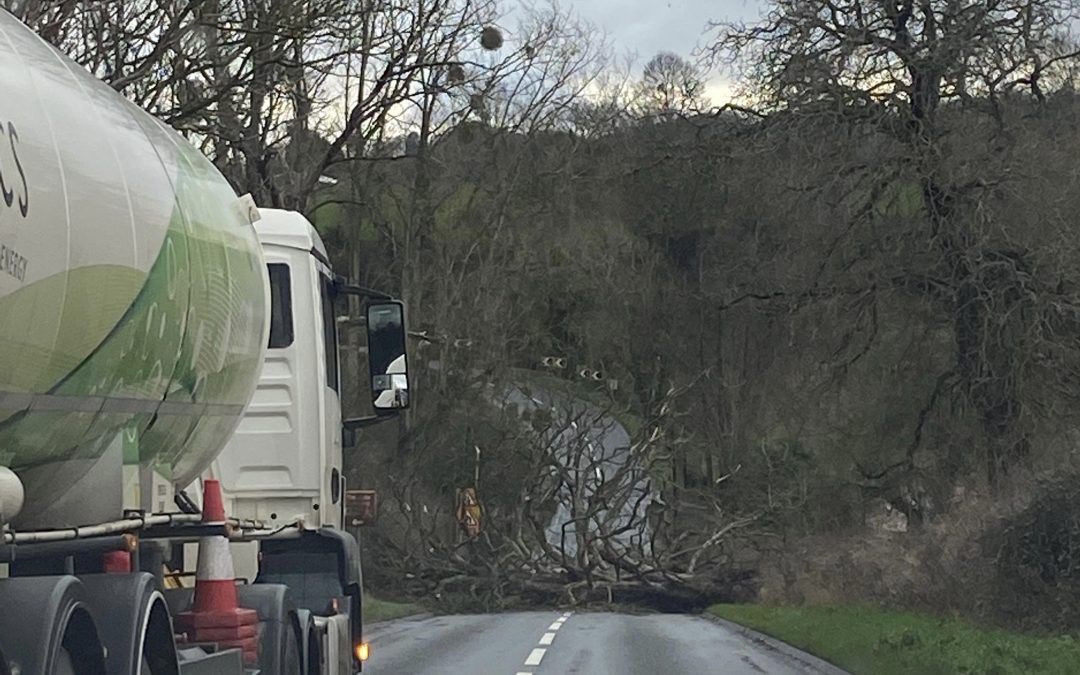 NEWS | A fallen tree is blocking a major route in Herefordshire this afternoon 