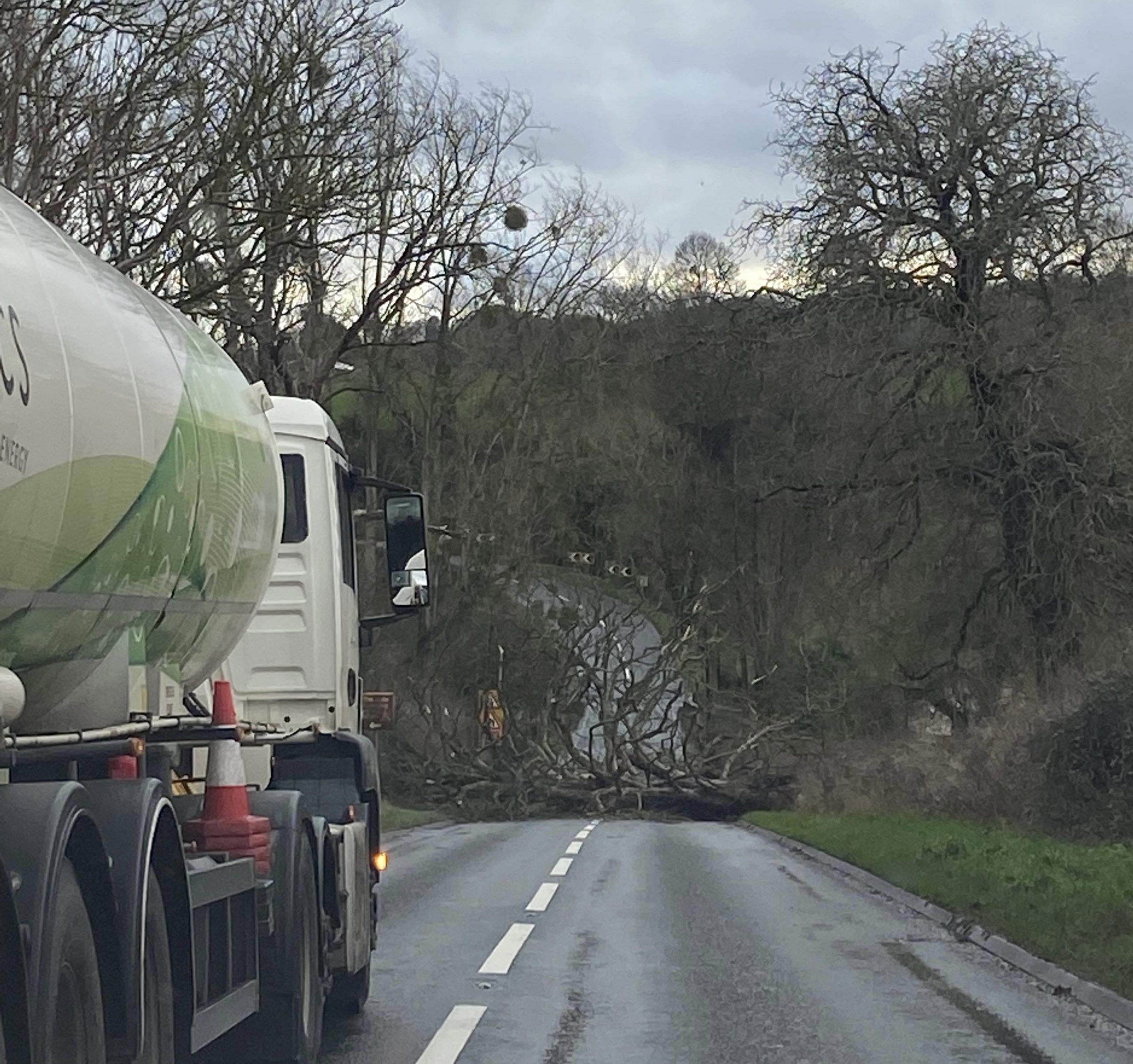 NEWS A fallen tree is blocking a major route in Herefordshire