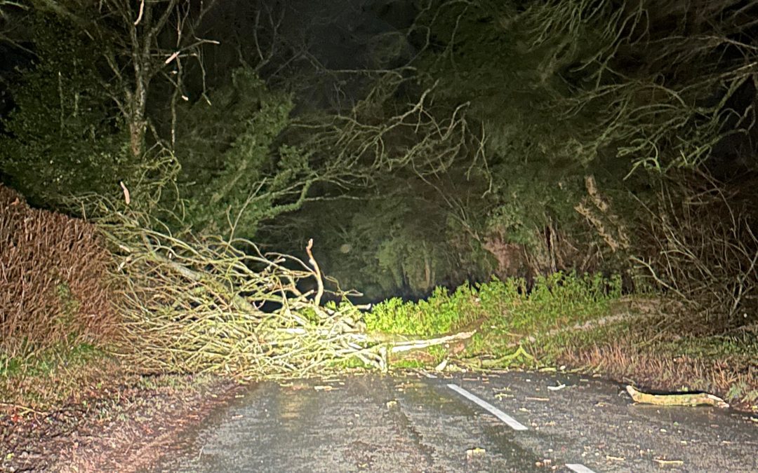 NEWS | Latest on the roads as Storm Isha sweeps across the UK bringing disruption and 99mph gusts to some parts 