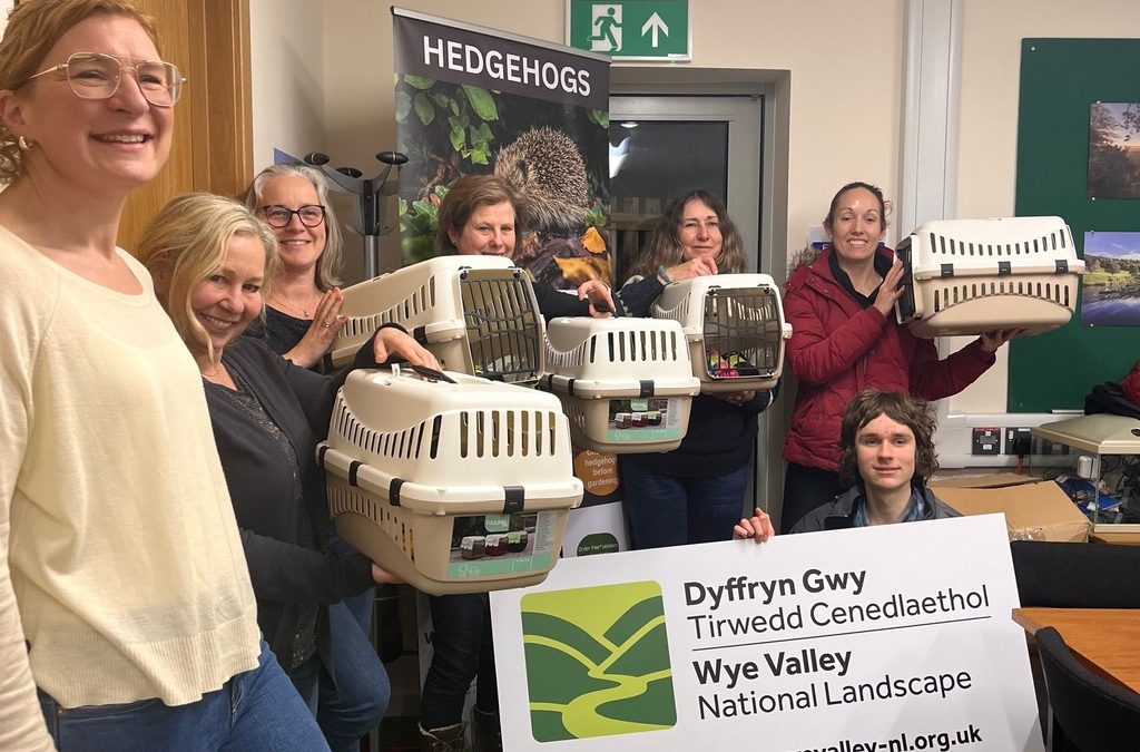 NEWS | Local student launches pioneering Volunteer Hedgehog First Response Unit