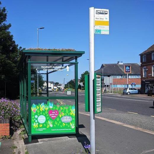 NEWS | Herefordshire Council set to spend £230,000 with Berkshire company for ten bee friendly bus shelters at Hereford Country Bus Station