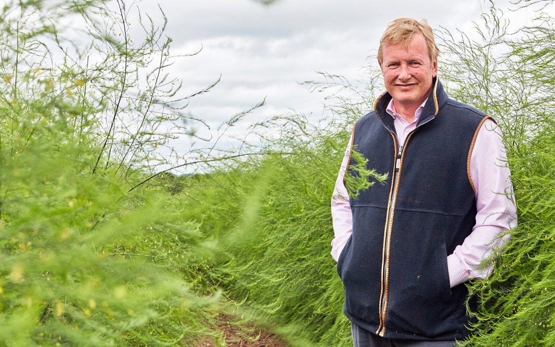 NEWS | A Herefordshire-based business is celebrating after hitting a 10-year milestone of growing its high-quality British asparagus for Aldi