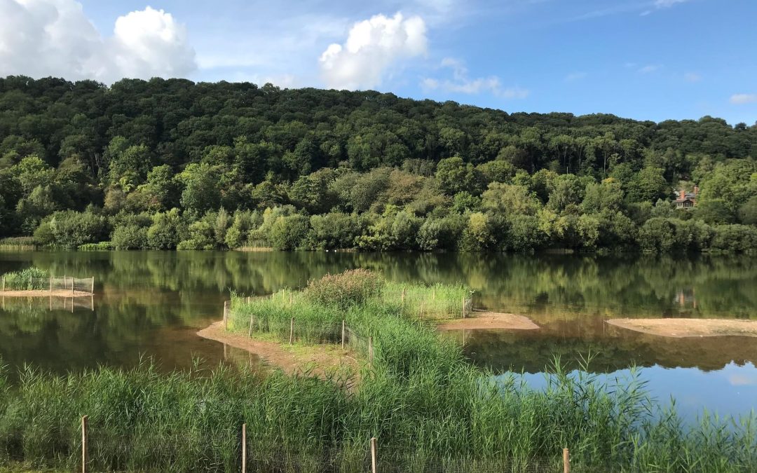 NEWS | Visitors will have to pay to visit Bodenham Lake from tomorrow with parking fees going towards the management of the nature reserve 