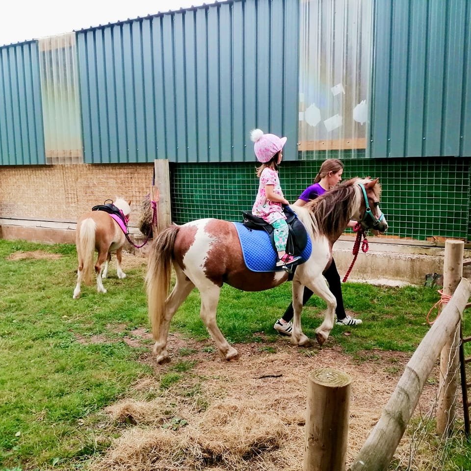 HALF TERM | Pony rides, Tractor rides, Treasure Hunts plus Indoor and Outdoor fun at Newbridge Farm Park in Herefordshire 