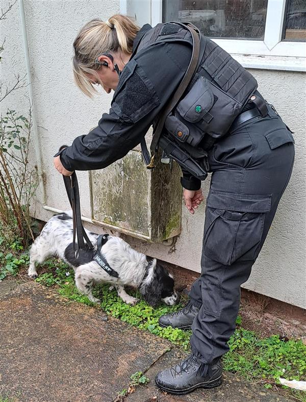 NEWS | Police Dog plays vital part in drugs raid in Bromyard which led to two arrests being made by officers 