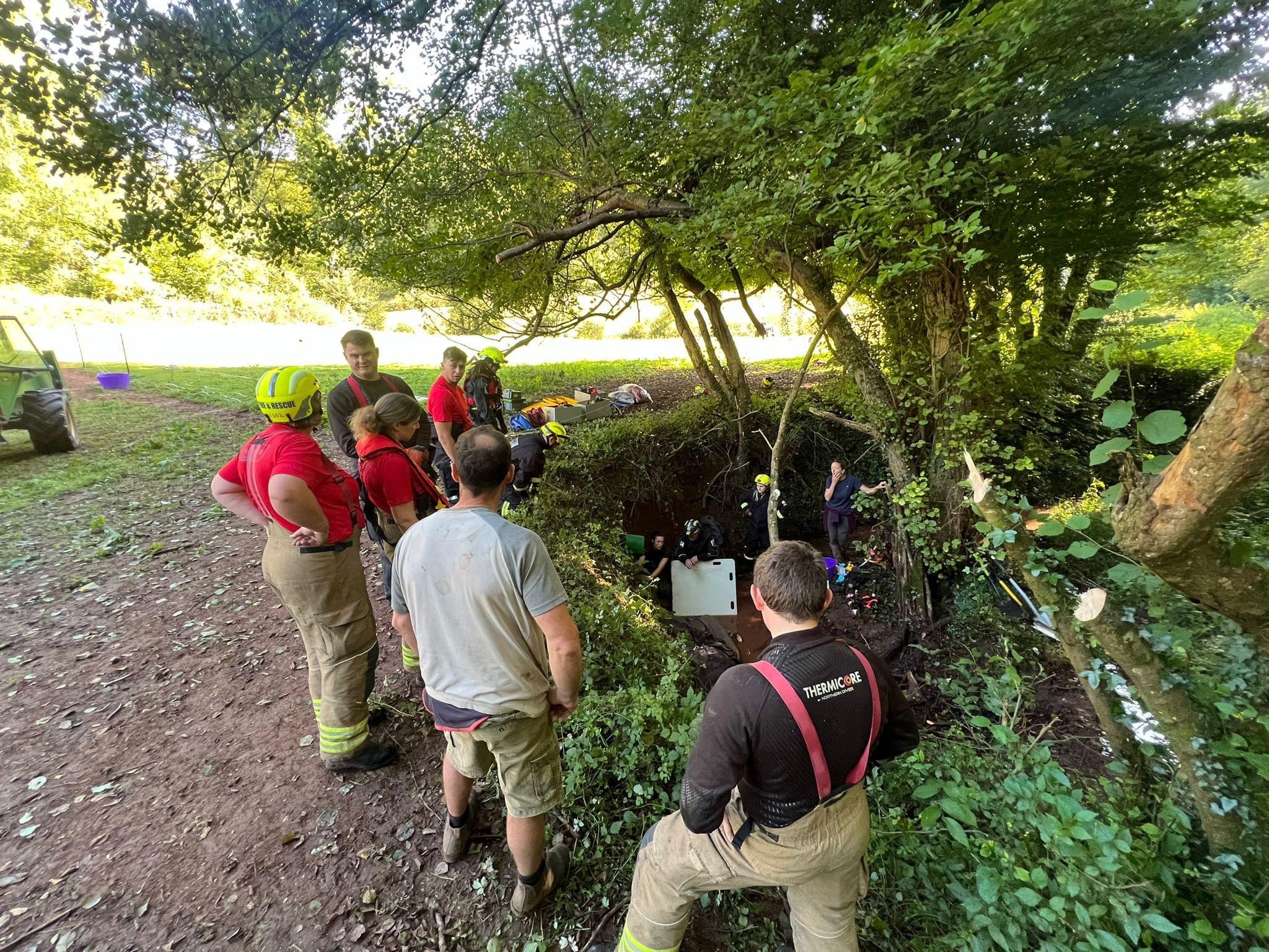 NEWS | Emergency services in Herefordshire help to rescue a horse that had become stuck in a deep ditch 