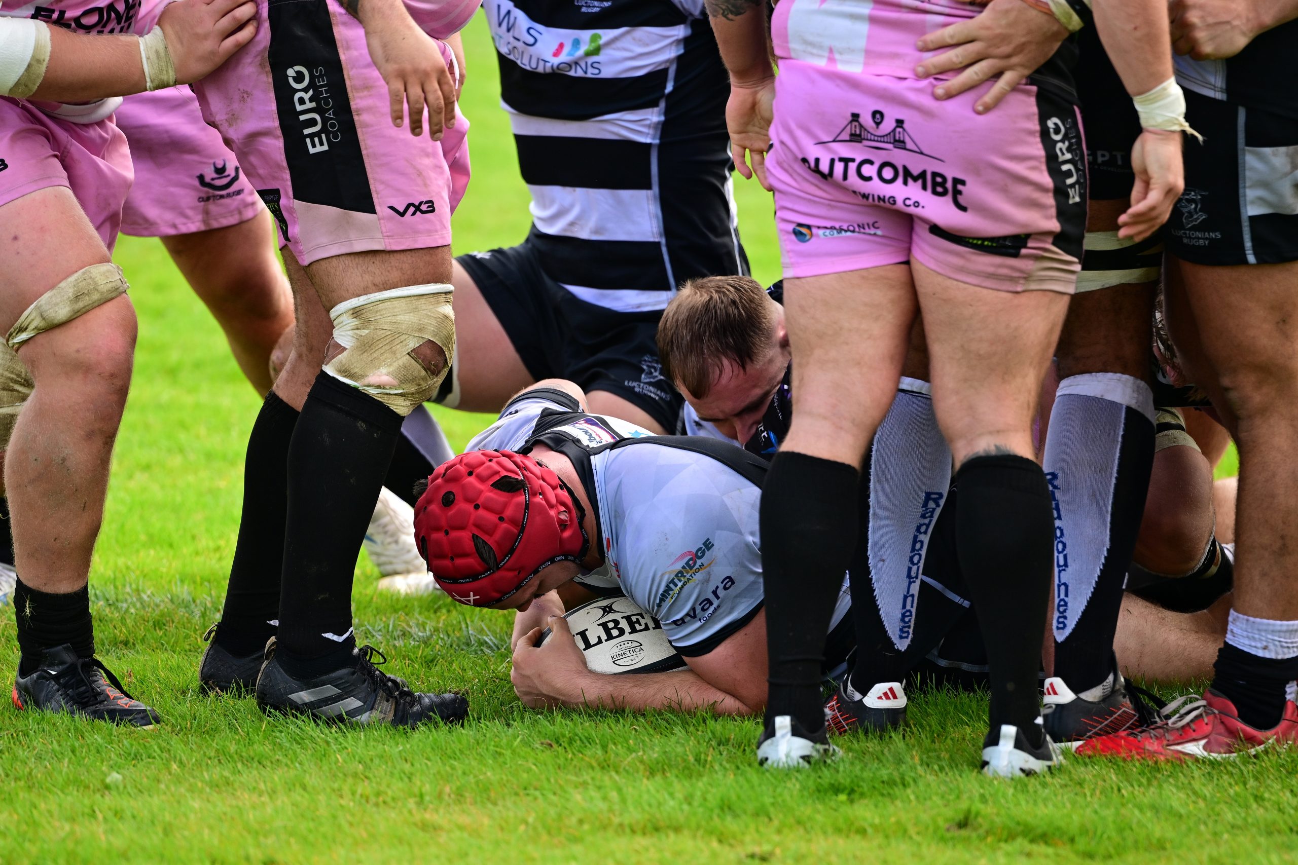 RUGBY | Luctonians’ first home game of the season in front of superb vocal home support saw them put away a useful Clifton outfit comfortably 39-15