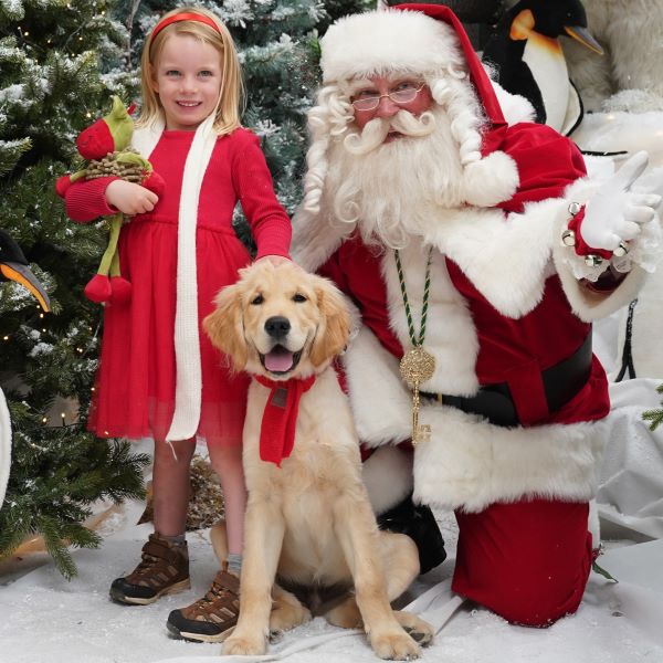 FEATURED | Take your dog to visit ‘Santa Paws’ this Christmas – but be quick to book as spaces are limited! 