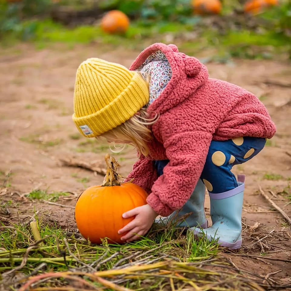 FEATURED | The Pumpkin Patch and Night Maze to provide an amazing experience for families in the lead up to Halloween!