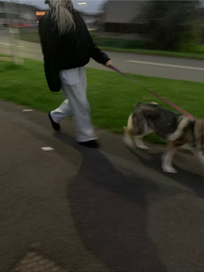 NEWS | Police appealing for help in tracing the owner of a dog that reportedly bit a child in a scary incident