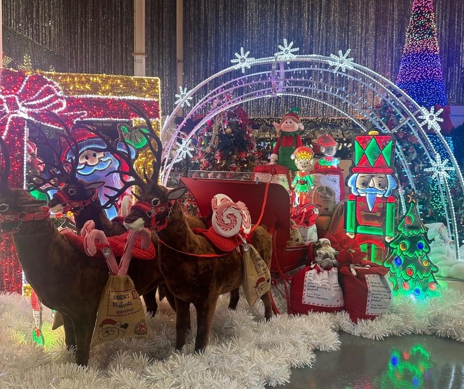 FEATURED | A huge warehouse full of Christmas Trees and Decorations has opened and you can even meet Santa over the coming weeks!