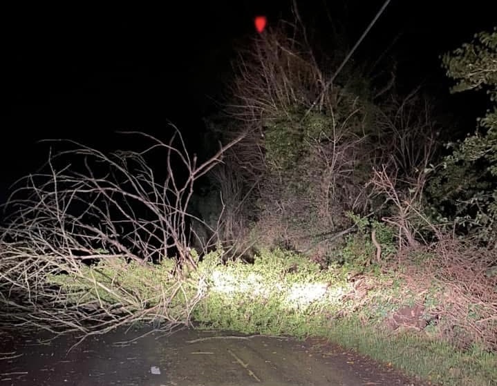 STORM DARRAGH | Reports starting to come in of fallen trees as gusts of wind increase in Herefordshire