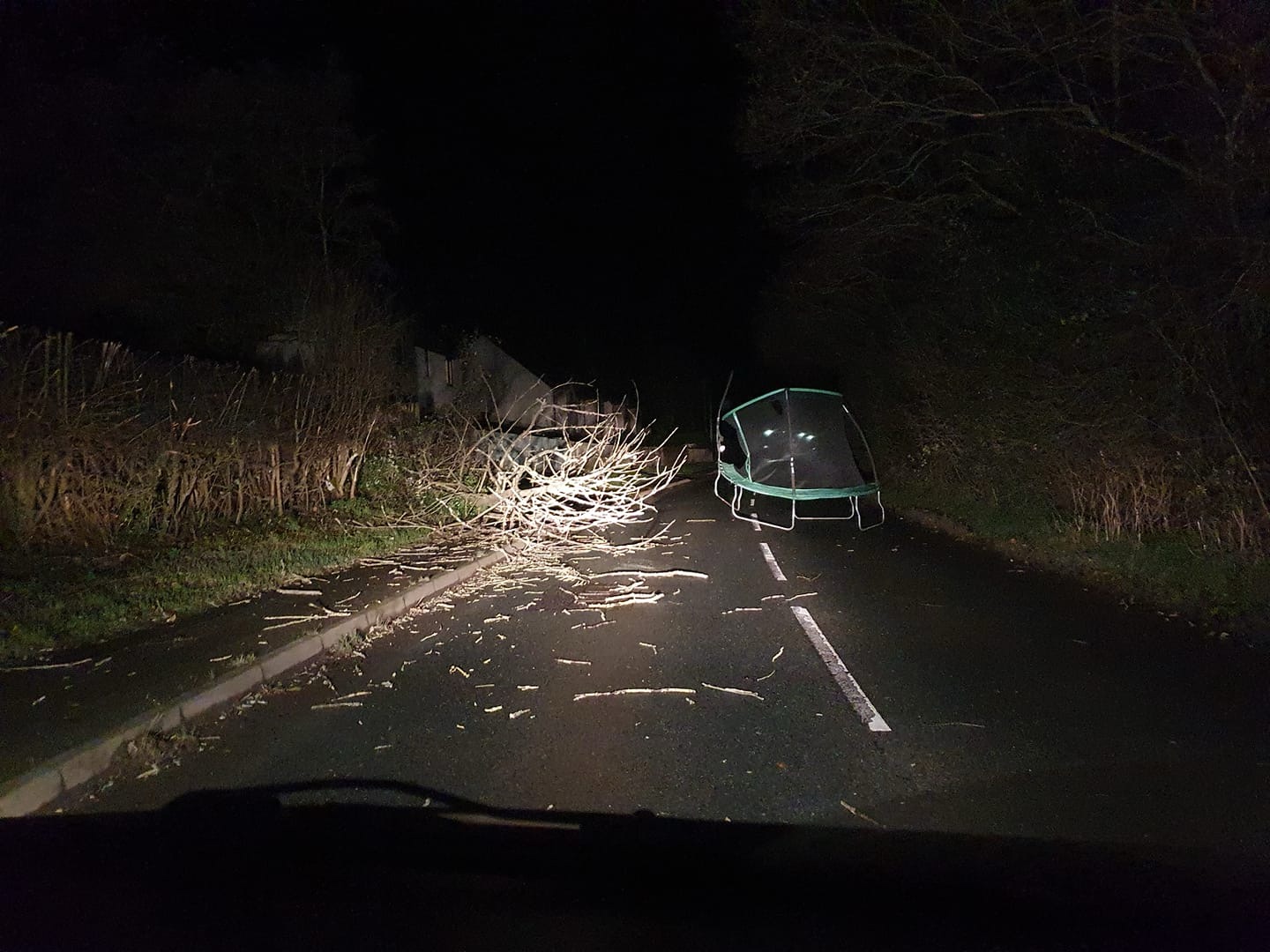 STORM DARRAGH | Motorists advised to check before they travel with fallen trees on many routes across Herefordshire this morning