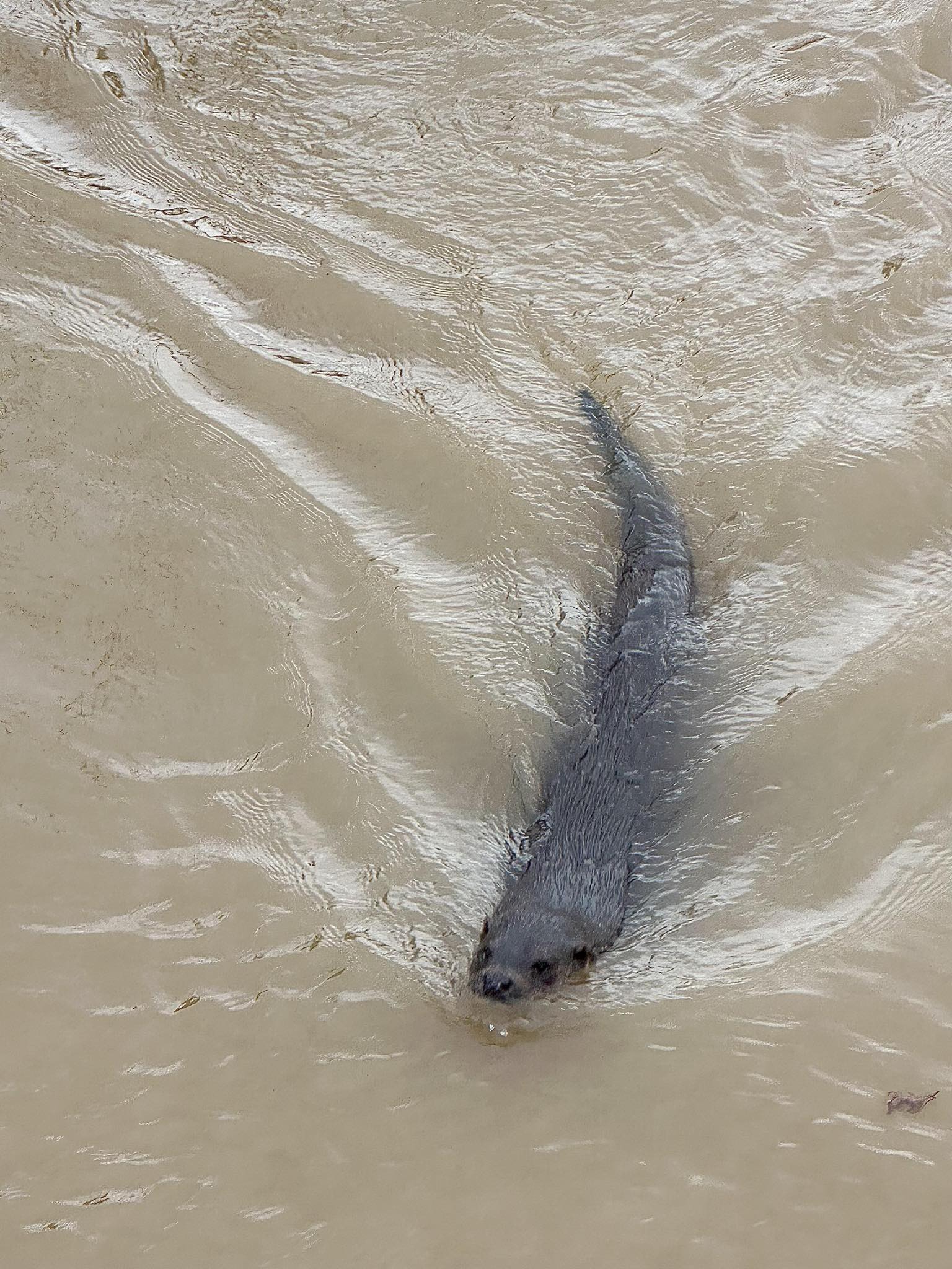 STORM DARRAGH – 7pm Update | The River Wye has peaked in Hereford but flooding set to continue to cause problems overnight