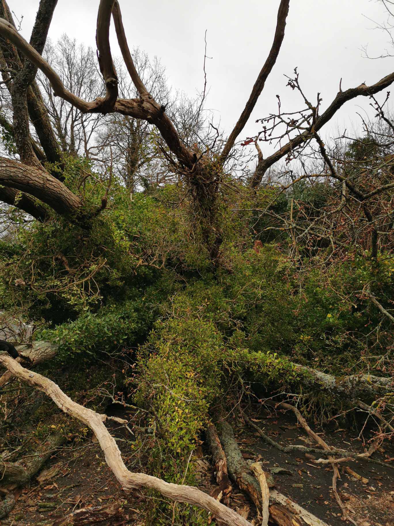 ROAD CLOSURES | A number of roads remains closed this morning following Storm Darragh