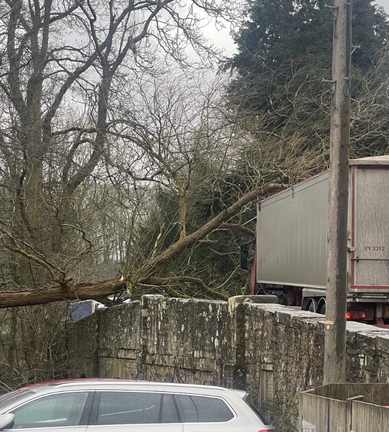 BREAKING | A Herefordshire road is blocked this morning after a tree fell onto a lorry