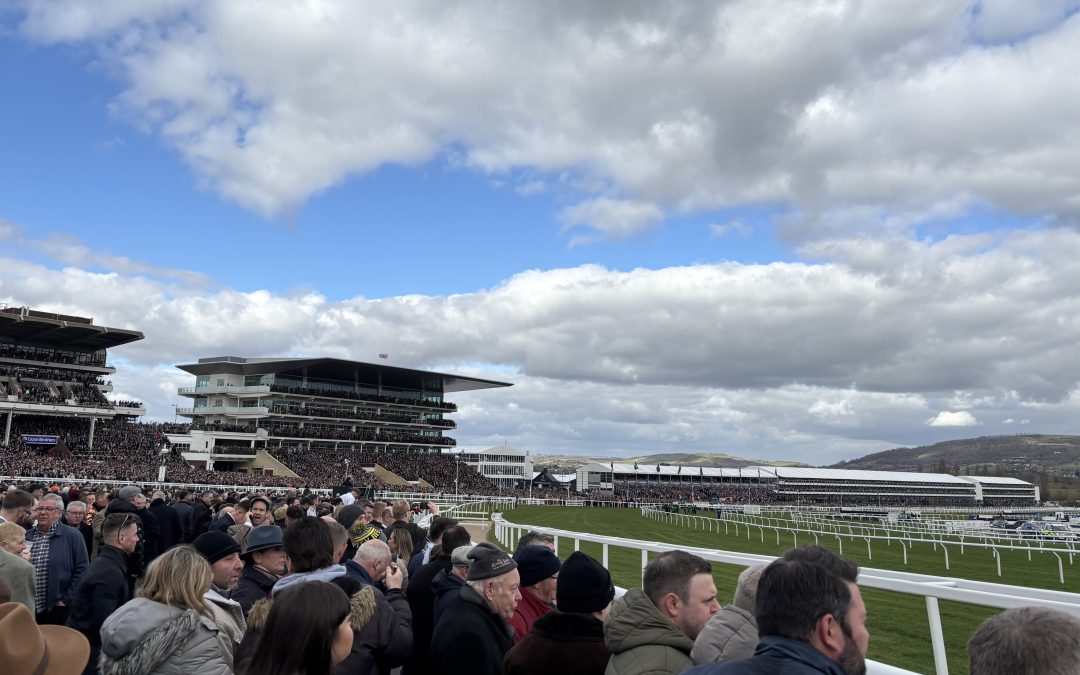 NEWS | Important information from Police in Gloucestershire for anyone attending the Cheltenham Festival on Gold Cup Friday