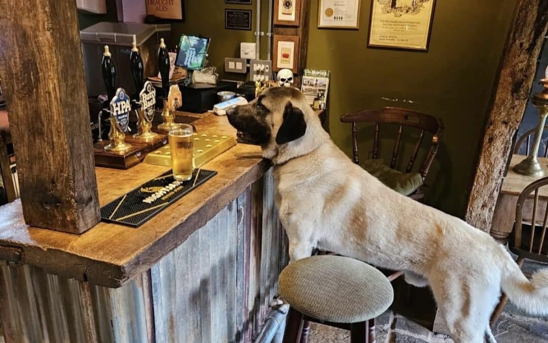 NEWS | Shock as Herefordshire pub that’s at the heart of the community to close due to ‘no longer being viable’